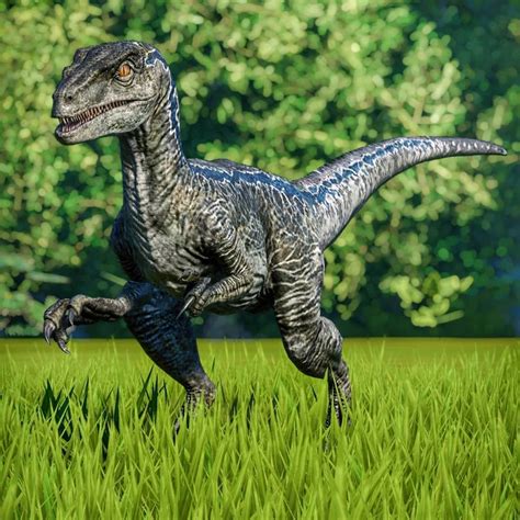 Jwe Photos And Videos On Instagram “blue The Velociraptorjurassic