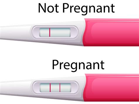 Home Pregnancy Test The Right Way To Read A Pregnancy Test How To