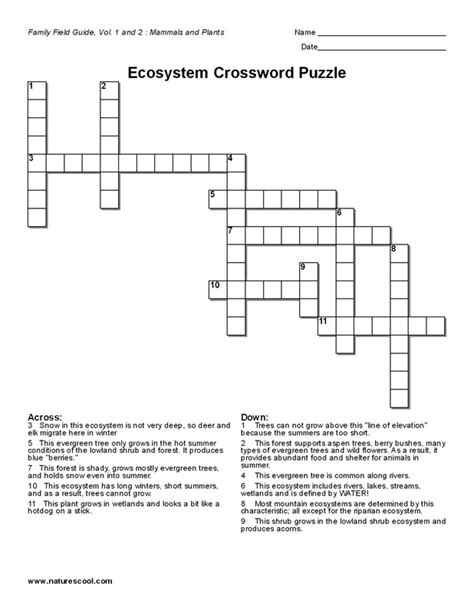 Ecosystem Crossword Student Activity Pages