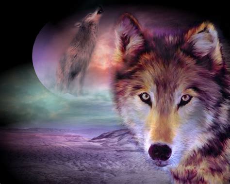 Live Wolf Wallpaper Free Download For PC WallpaperSafari