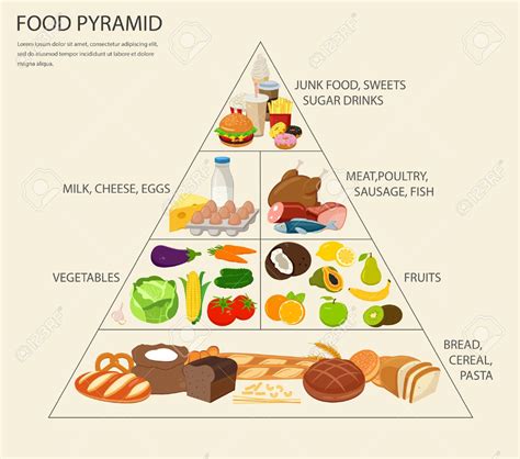 A Series Of Honest Food Pyramids For Various Stages Of Adult Life