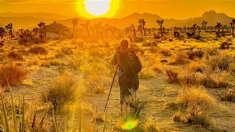 Awesome Photography Tours In Joshua Tree National Park — Visit Joshua Tree