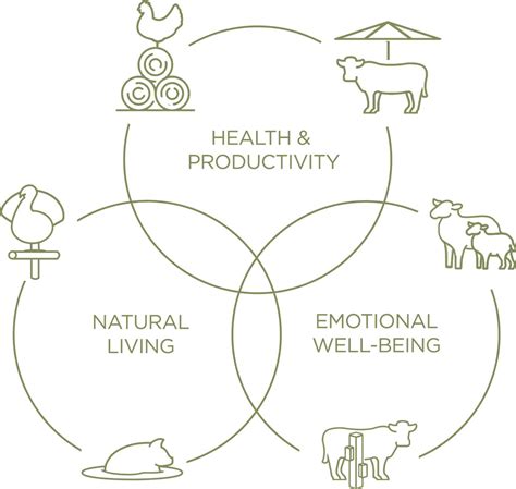 Animal Welfare Certified Food Labeling Program - Global Animal Partnership