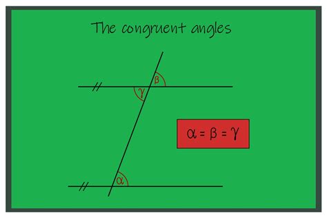 What Are Basic Facts About The Congruent Angles