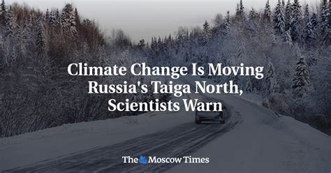 Climate Change Is Moving Russias Taiga North Scientists Warn The