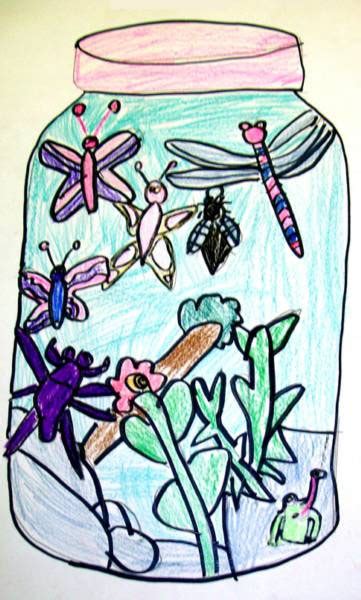 drawing bugs  jars lesson plan drawing  kids kinderart