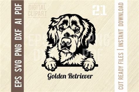 Golden Retriever Svg Peeking Dog Breed Graphic By Signreadydclipart
