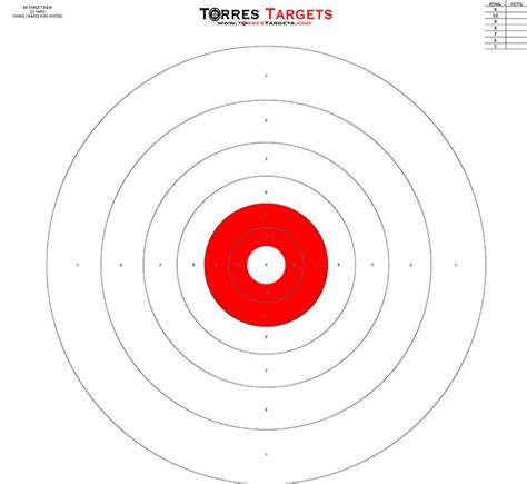B8 Style Bullseye Shooting Target Red From