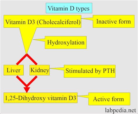 Types Of Vitamin D3