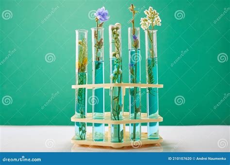 Scientific Experiment Flowers In Test Tubes Green Plant In