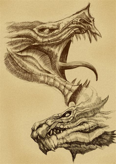 Image result for DRAGON HEAD IDEAS PERSPECTIVE | Skyrim art, Dragon