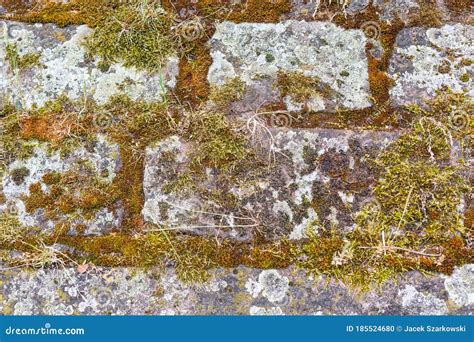 Old Stone Wall Mossy Stones Moss Covered Granite Historic Defensive