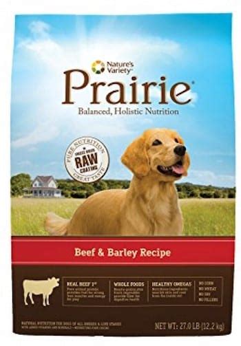 Top 20 Best Dry Dog Food Brands Of 2020 The Dog Digest
