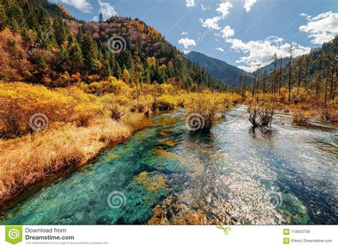 Scenic River With Crystal Water Among Fall Woods And Mountains Stock