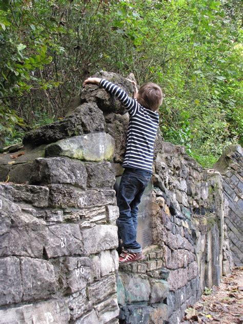 Maybe you would like to learn more about one of these? Botanischer Volkspark Pankow in Berlin - Ausflüge mit ...