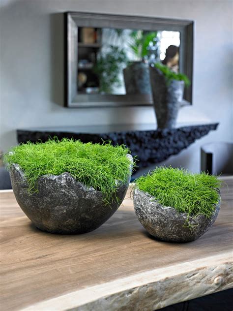 There are 2234 indoor moss garden for sale on etsy, and they cost $17.09 on average. 396009- Wavy bowl black_ 396013- Wavy bowl black small ...