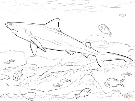 Select from 35919 printable coloring pages of cartoons, animals, nature, bible and many more. Realistic Bull Shark coloring page | Free Printable ...
