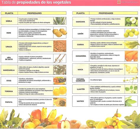 Tabla De Alimentos Y Sus Propiedades Alimentos Con Vitamina A Nutrición Frutas Y Verduras