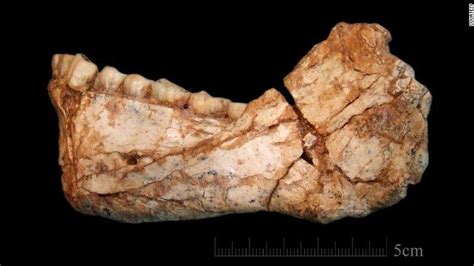 Oldest Homo Sapiens Fossils Discovered Health And Fitness