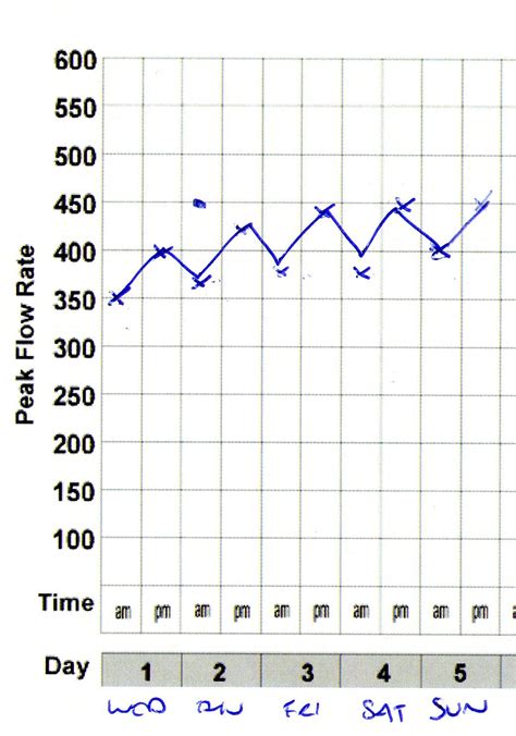 Template Printable Peak Flow Chart
