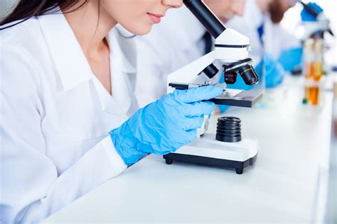 Medical Laboratory Technology Hot Sex Picture