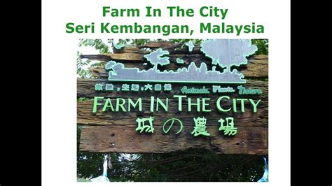 This is a malaysian village themed petting zoo located near taman equine, seri kembangan, between kuala lumpur and putrajaya. Farm In The City, Seri Kembangan - YouTube