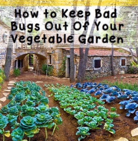 You will also find out how to attract beneficial organisms and choose plants that will help your garden thrive. How to Keep Bad Bugs Out Of Your Vegetable Garden #Organic ...
