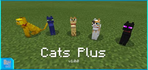 Cats Minecraft Pe Addonmod 116