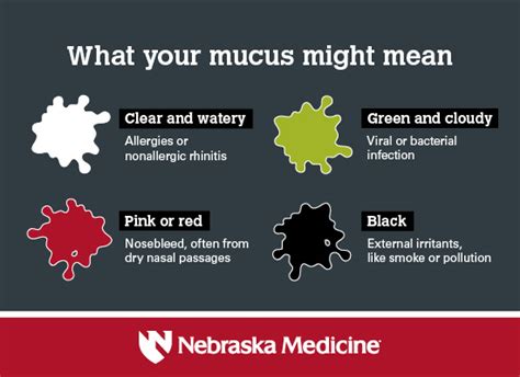 Learn How To Interpret Phlegm Color For Health Insigh