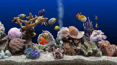 Free Aquarium Screensaver For Windows K Images And Photos Finder