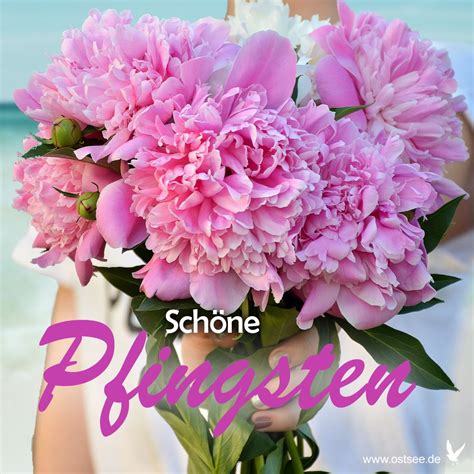 Frohe pfingsten lustig grüße zu pfingsten pfingsten bilder herzlichen glückwunsch zum geburtstag alles gute geburtstag glückwünsche zum hochzeitstag bilder fasching. Ein schönes Pfingstwochenende mit diesem Pfingstrosen ...