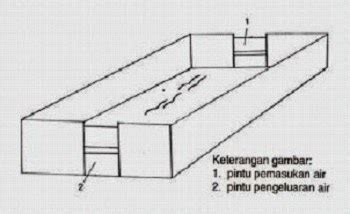 Struktur kolam renang di lantai 2. Cara Membuat Kolam Lele Terpal, Persiapan dan Budidayanya » juraganhobi.com