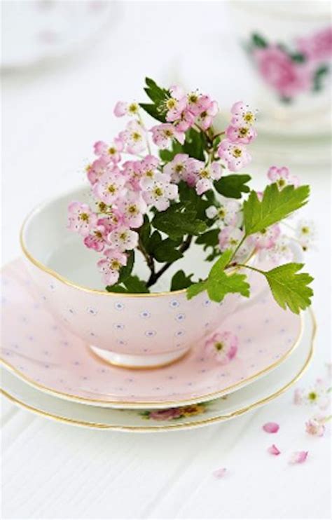 804 Best Tea Cup Flower Images Tea Tea Cups Flower Arrangements