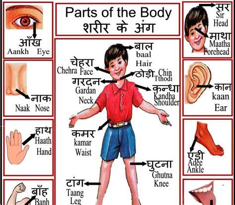 Some of them was in the top 10 longest body parts in world tamil | நீண்ட உடல் உறுப்புகளை கொண்ட 10 மனிதர்கள். Body Parts Tamil - Speak Tamil Through English | Spoken ...