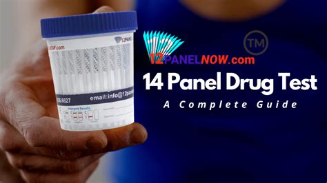 14 Panel Drug Test A Complete Guide 12 Panel Now