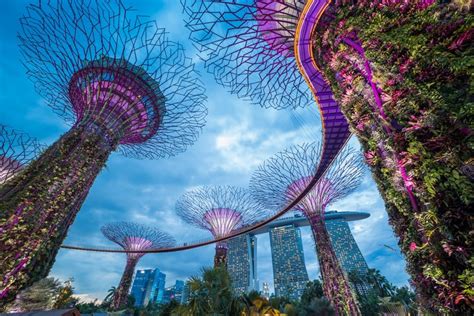 28 Interesting Facts About Singapore The Facts Institute