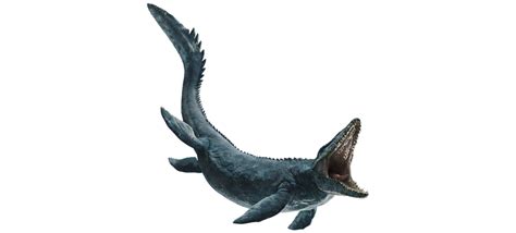 Mosasaurus Jurassic Park Wiki Fandom