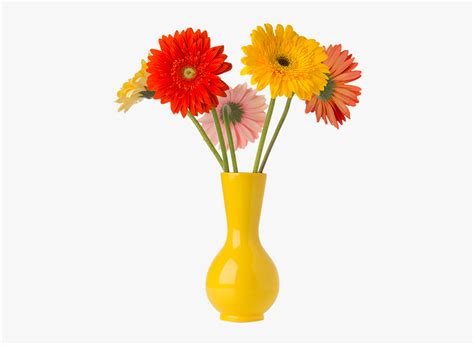 We did not find results for: Flor - Transparent Flower Vase Png, Png Download ...
