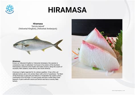 5 Amberjack You Should Know Hamachi Buri Hiramasa Kona Kampachi