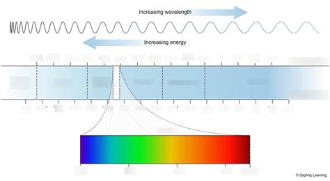 Electromagnetic Spectrum Physics Diagram Quizlet Hot Sex Picture