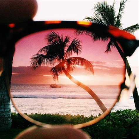 Summer Paradise On Tumblr