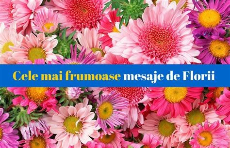 De asemenea, de florii, românii cu nume de floare își sărbătoresc și ziua numelui. MESAJE DE FLORII 2018. Cele mai frumoase felicitări de Florii