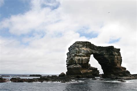We did not find results for: 10 Best Dive Sites in the World for Breathtaking Views ...