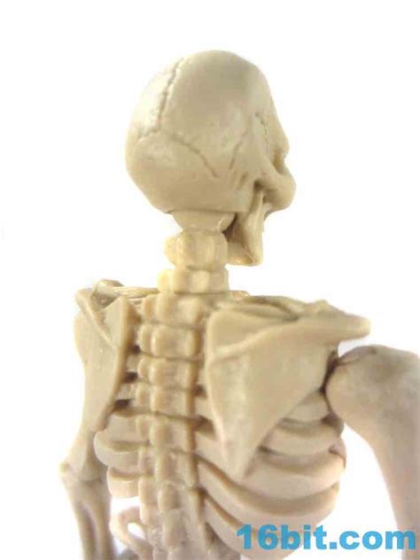 Figure Of The Day Review October Toys Skeleton