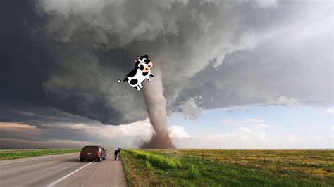 Cow Gets Stuck In Tornado Youtube