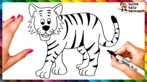 Como Dibujar Un Tigre Paso A Paso Dibujo De Tigre Facil