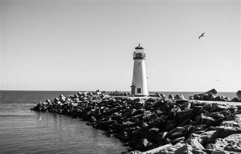 Her delicate little voice and fluffy body complete the warm atmosphere. Picalls.com | Old lighthouse in black and white by Don Owsley.
