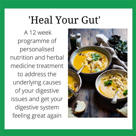Heal My Gut The 12 Week Digestive Health Programme Holly Healthcare