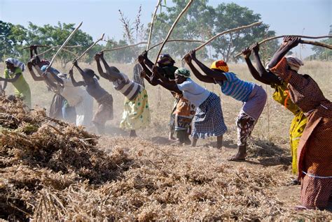 Vers Lautonomisation Des Femmes En Milieu Rural En Afrique Willagri Comprendre Les Enjeux