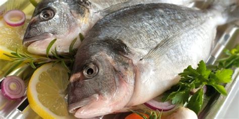 Ikan manfish, disebut juga ikan angelfish atau ikan layang, adalah jenis ikan hias akuarium air tawar yang sangat populer karena bentuknya yang indah. Jenis Ikan Air Tawar Yang Sering Dikonsumsi - MHN